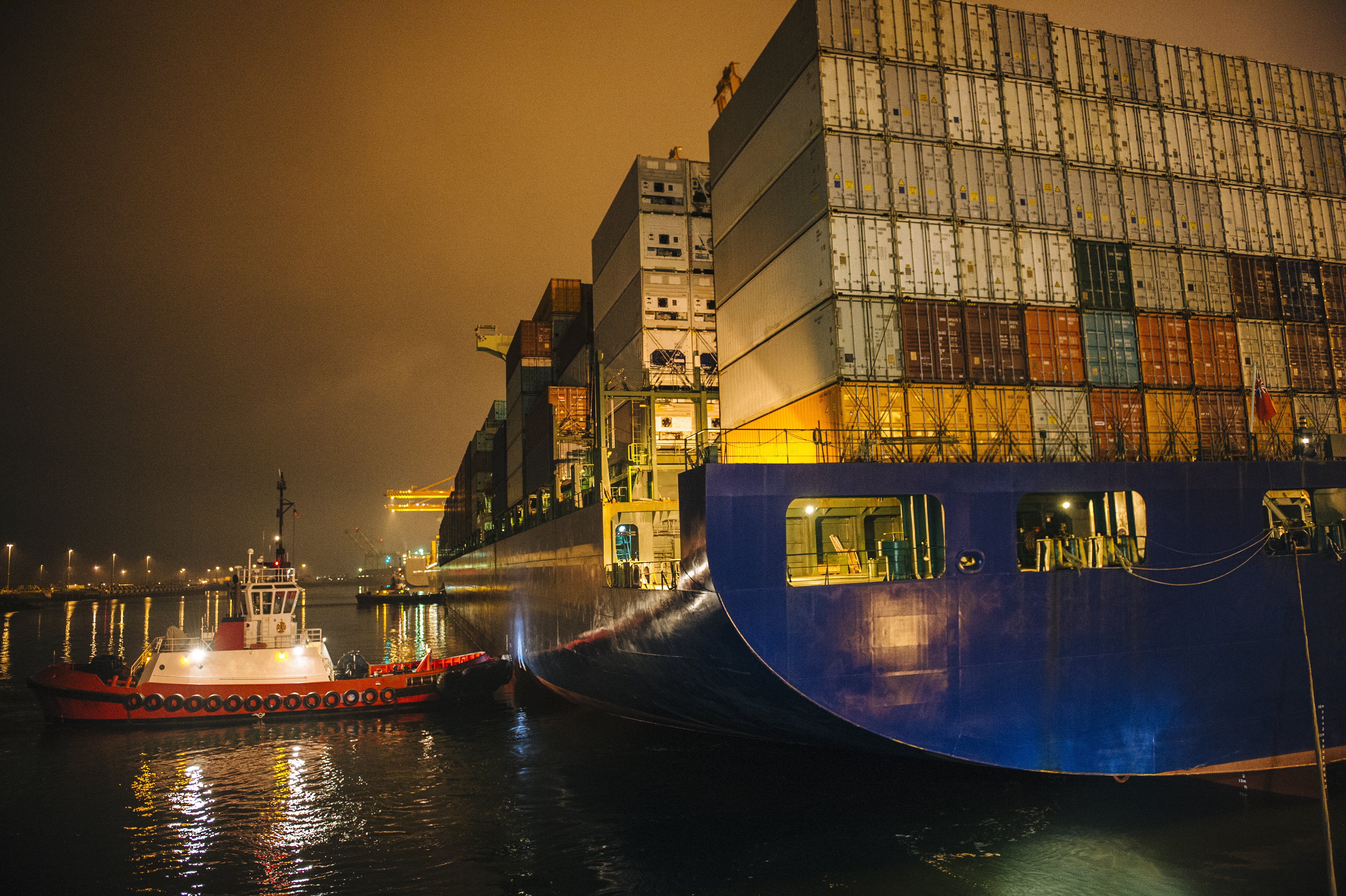 Container consolidation — multiple product families, one shipment
